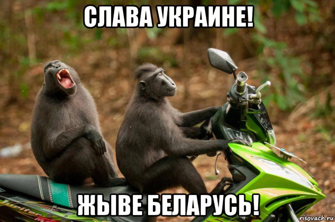 слава украине! жыве беларусь!, Мем Макак