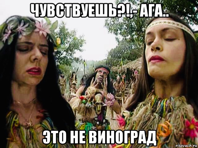 чувствуешь?!,- ага.. это не виноград, Мем Маски Шоу