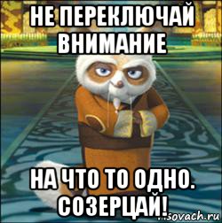 не переключай внимание на что то одно. созерцай!, Мем мастер шифу