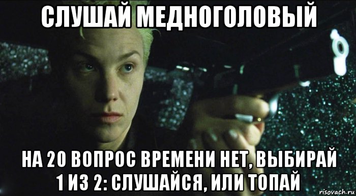 слушай медноголовый на 20 вопрос времени нет, выбирай 1 из 2: слушайся, или топай, Мем Матрица