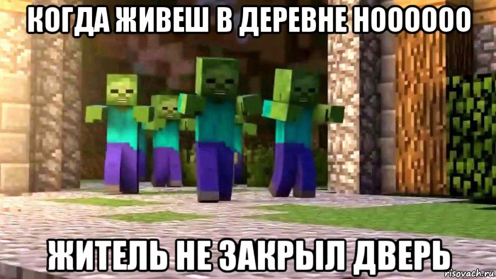 когда живеш в деревне ноооооо житель не закрыл дверь, Мем Майнкрафт зомби