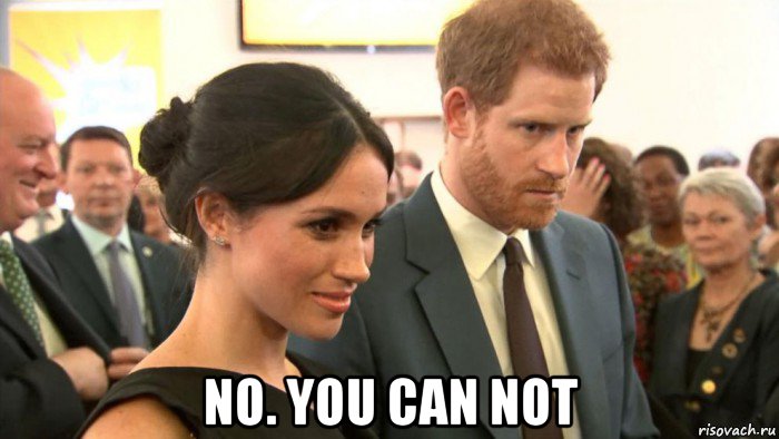  no. you can not, Мем Megan