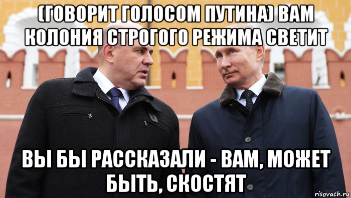 (говорит голосом путина) вам колония строгого режима светит вы бы рассказали - вам, может быть, скостят, Мем Мишустин
