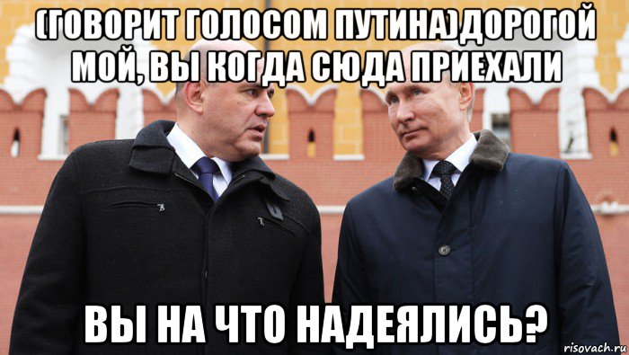 (говорит голосом путина)дорогой мой, вы когда сюда приехали вы на что надеялись?, Мем Мишустин