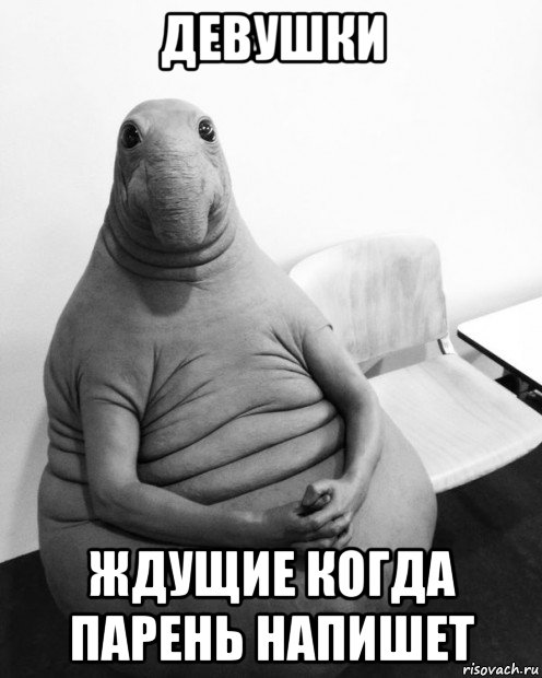 девушки ждущие когда парень напишет
