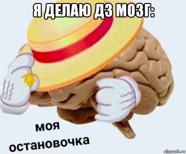 я делаю дз мозг: 