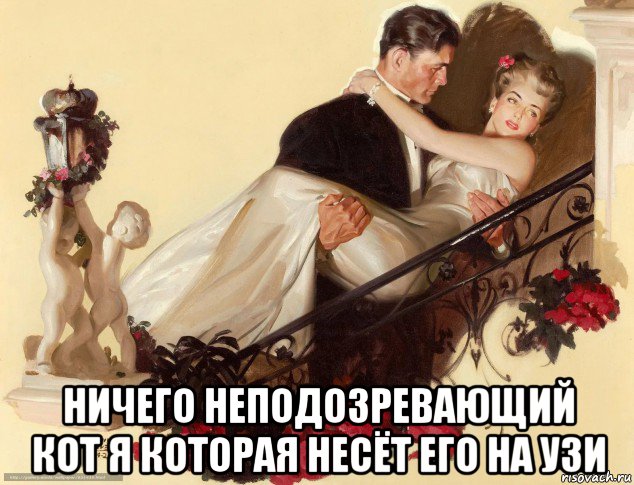  ничего неподозревающий кот я которая несёт его на узи, Мем На руках