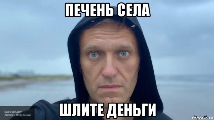 печень села шлите деньги, Мем Навальный харя