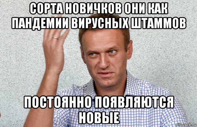 сорта новичков они как пандемии вирусных штаммов постоянно появляются новые, Мем Навальный махнул рукой