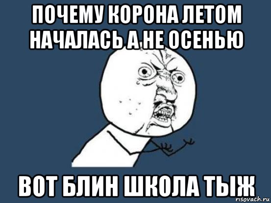 почему корона летом началась а не осенью вот блин школа тыж, Мем Ну почему