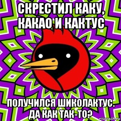 скрестил каку, какао и кактус получился шиколактус. да как так-то?, Мем Омская птица