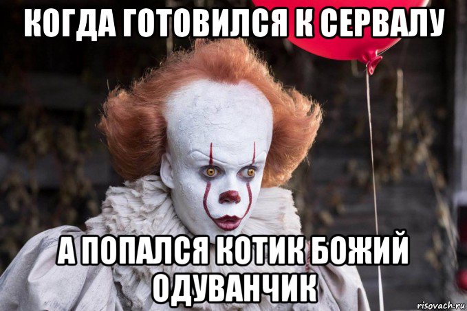 когда готовился к сервалу а попался котик божий одуванчик, Мем Оно интересуется