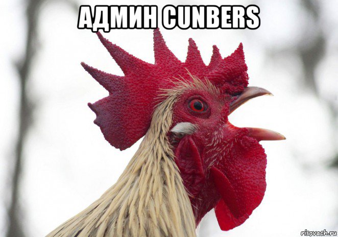 админ cunbers 