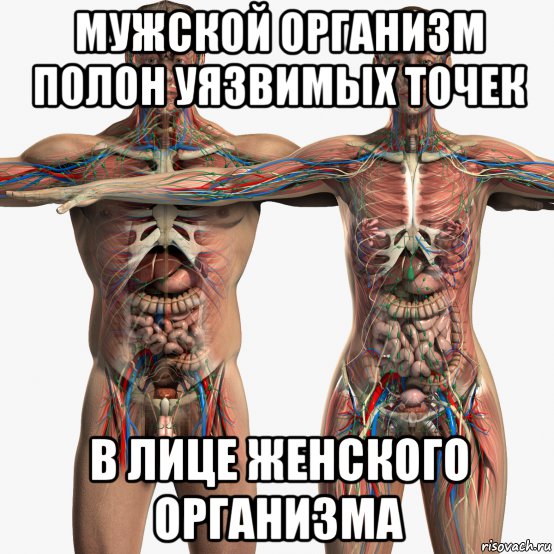 мужской организм полон уязвимых точек в лице женского организма, Мем Организм