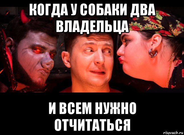 когда у собаки два владельца и всем нужно отчитаться, Мем Панская морда