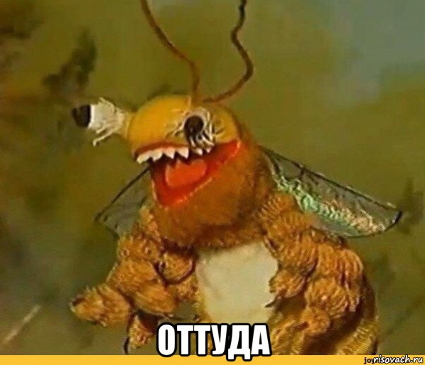  оттуда