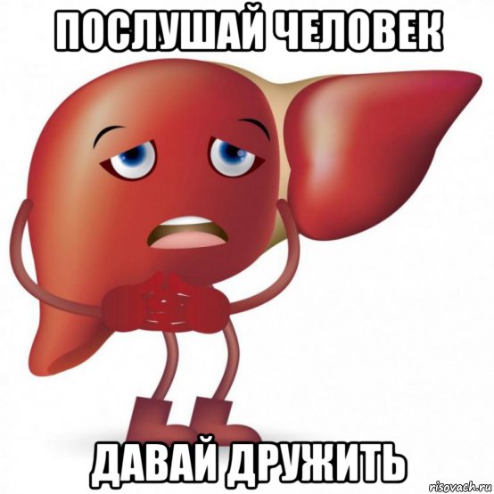 послушай человек давай дружить, Мем Печеночка