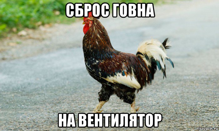 сброс говна на вентилятор, Мем Петух переходит дорогу