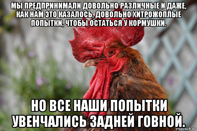 мы предпринимали довольно различные и даже, как нам это казалось, довольно хитрожоплые попытки, чтобы остаться у кормушки. но все наши попытки увенчались задней говной., Мем Петух припёклый