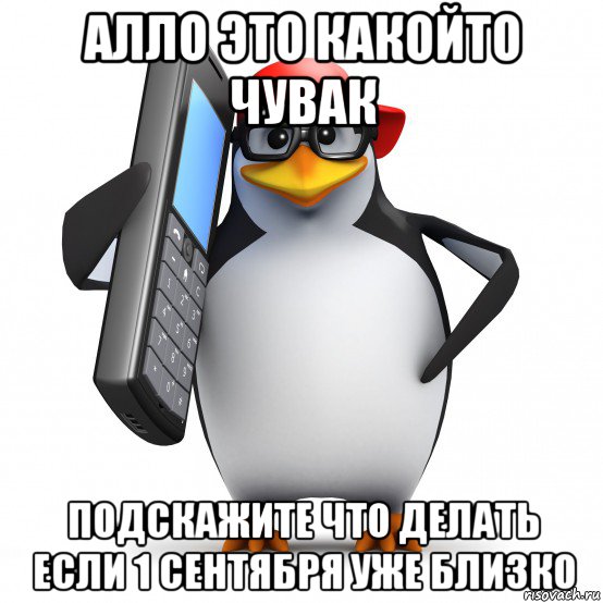 алло это какойто чувак подскажите что делать если 1 сентября уже близко, Мем   Пингвин звонит