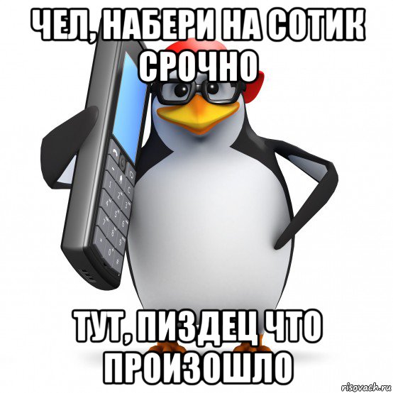 чел, набери на сотик срочно тут, пиздец что произошло, Мем   Пингвин звонит