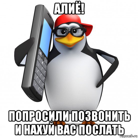 алиё! попросили позвонить и нахуй вас послать, Мем   Пингвин звонит