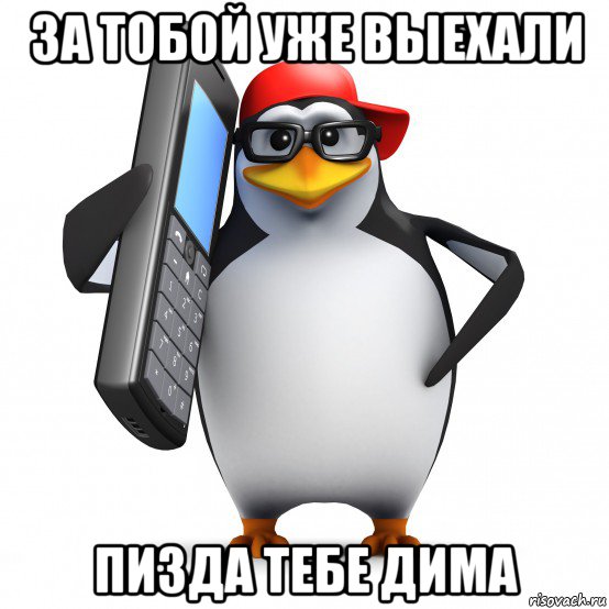 за тобой уже выехали пизда тебе дима, Мем   Пингвин звонит