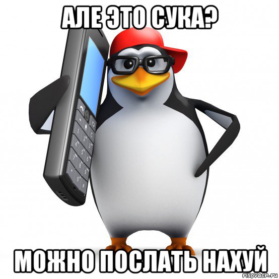 але это сука? можно послать нахуй, Мем   Пингвин звонит