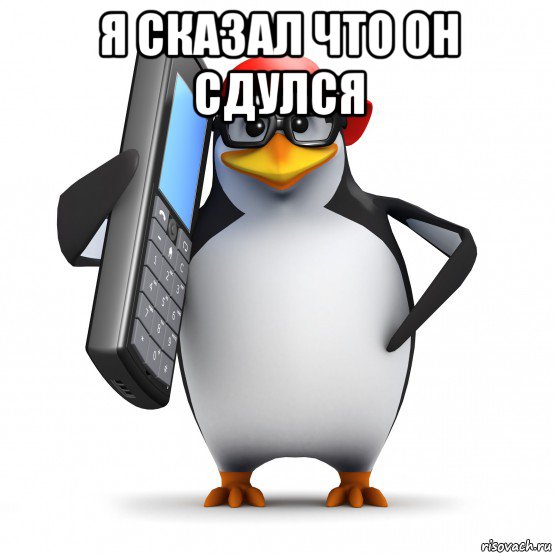 я сказал что он сдулся , Мем   Пингвин звонит