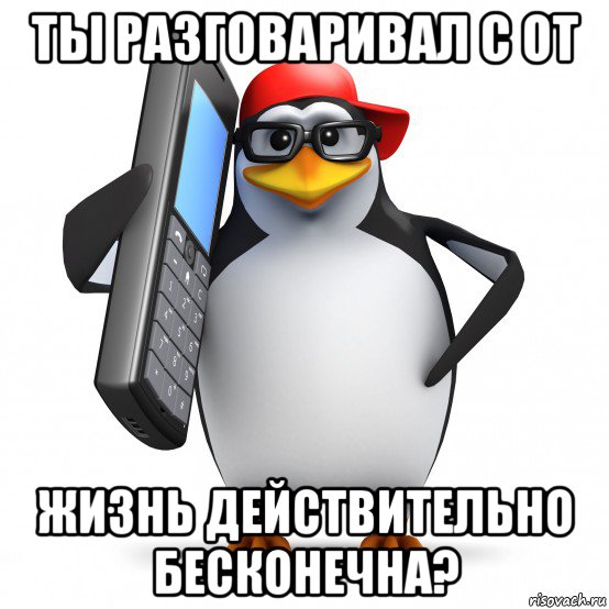 ты разговаривал с от жизнь действительно бесконечна?, Мем   Пингвин звонит