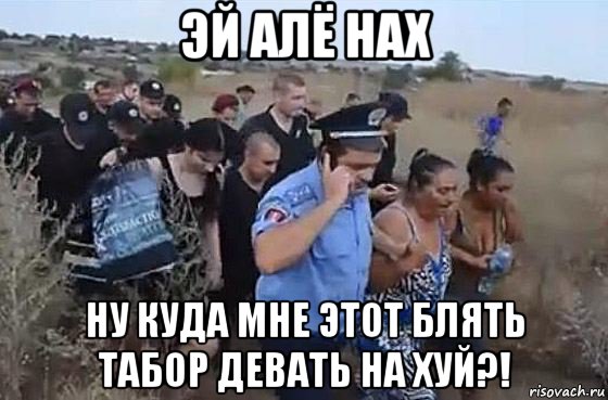 эй алё нах ну куда мне этот блять табор девать на хуй?!, Мем Притоны
