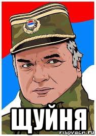  щуйня, Мем Ратко Младич