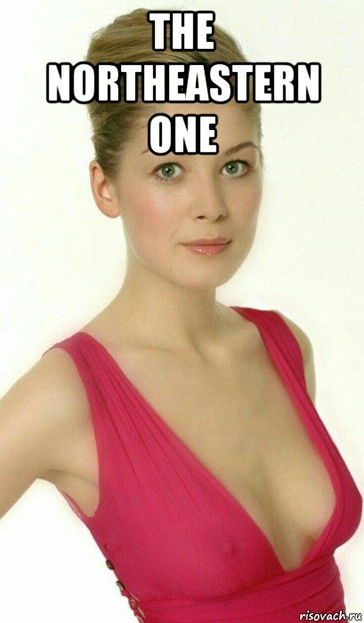 the northeastern one , Мем Rosamund Pike