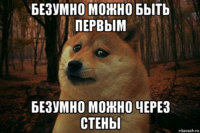 безумно можно быть первым безумно можно через стены, Мем SAD DOGE