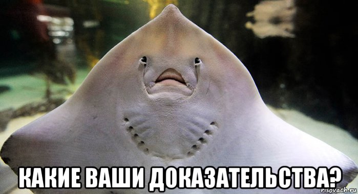  какие ваши доказательства?, Мем Скат
