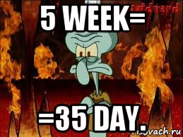 5 week= =35 day., Мем злой сквидвард