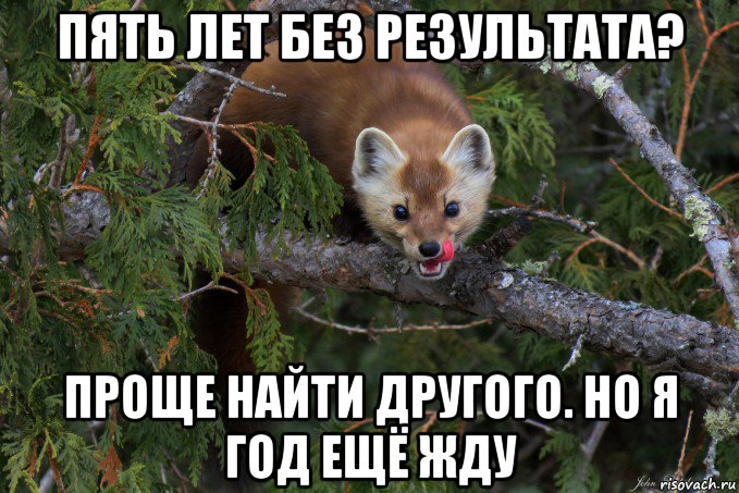 пять лет без результата? проще найти другого. но я год ещё жду