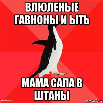 влюленые гавноны и ыть мама сала в штаны, Мем  социально-агрессивный пингвин