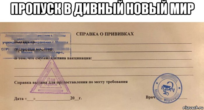 пропуск в дивный новый мир , Мем Spravka
