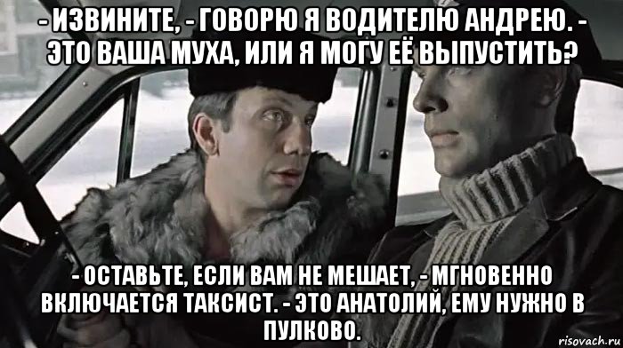 - извините, - говорю я водителю андрею. - это ваша муха, или я могу её выпустить? - оставьте, если вам не мешает, - мгновенно включается таксист. - это анатолий, ему нужно в пулково., Мем Такси