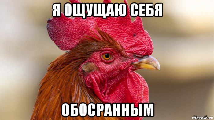 я ощущаю себя обосранным, Мем Типичный Петух - Совок три ноль