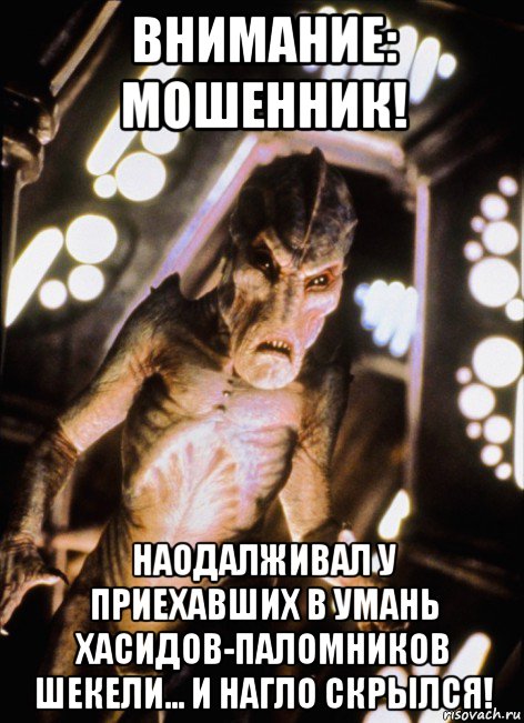 внимание: мошенник! наодалживал у приехавших в умань хасидов-паломников шекели... и нагло скрылся!, Мем Томминокеры
