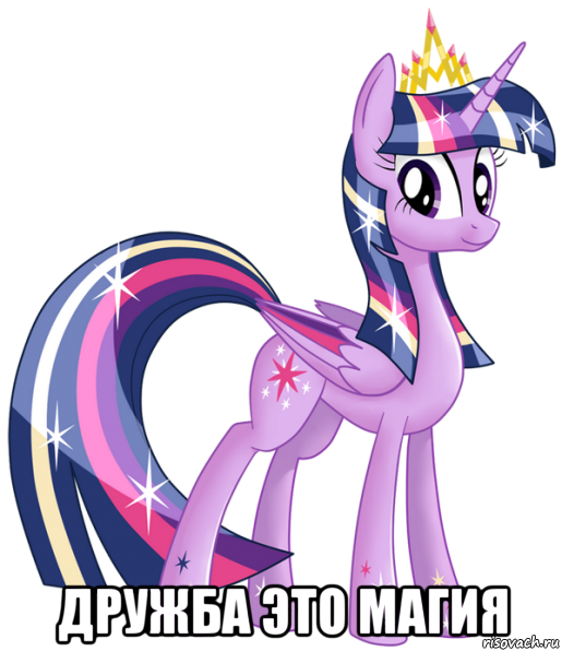  дружба это магия, Мем Твайлайт