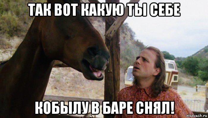 так вот какую ты себе кобылу в баре снял!, Мем Удачное наследство