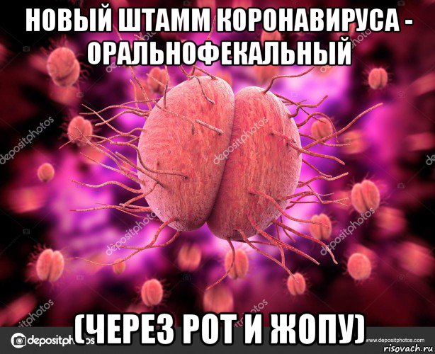 новый штамм коронавируса - оральнофекальный (через рот и жопу), Мем Упс