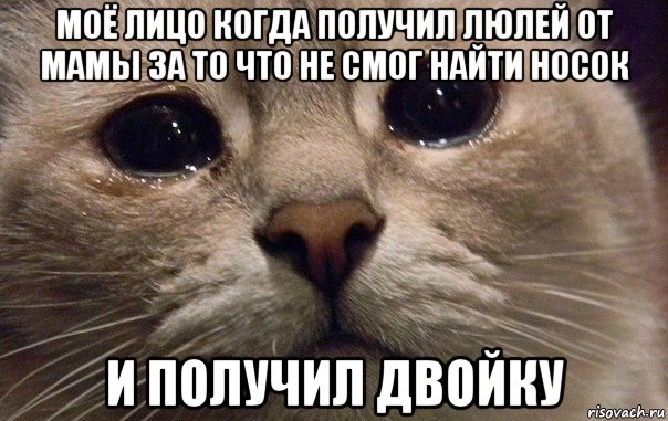 моё лицо когда получил люлей от мамы за то что не смог найти носок и получил двойку