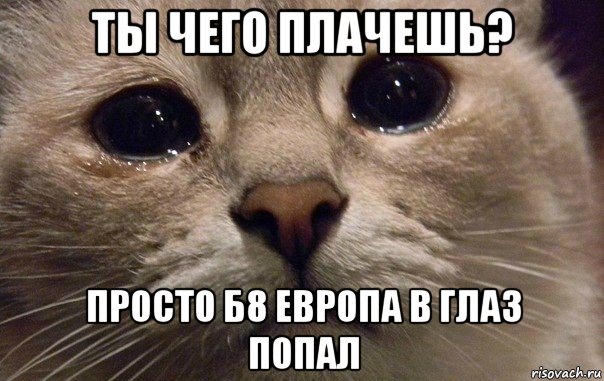 ты чего плачешь? просто б8 европа в глаз попал, Мем   В мире грустит один котик