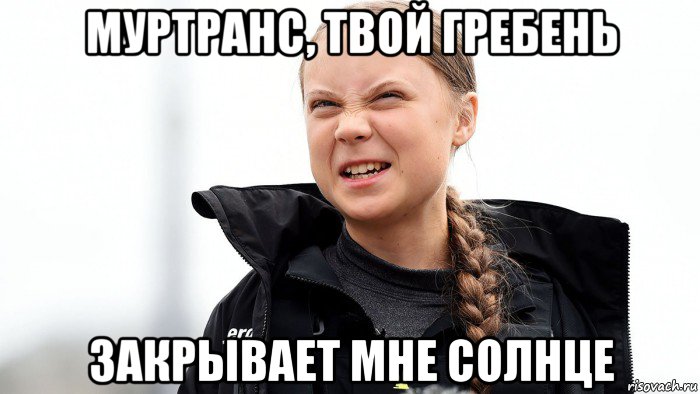 муртранс, твой гребень закрывает мне солнце, Мем Вапя
