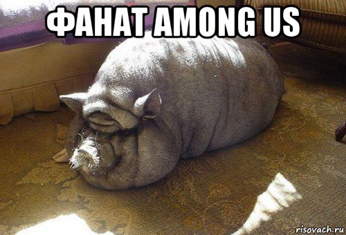 фанат among us 