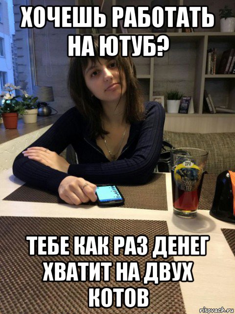 хочешь работать на ютуб? тебе как раз денег хватит на двух котов
